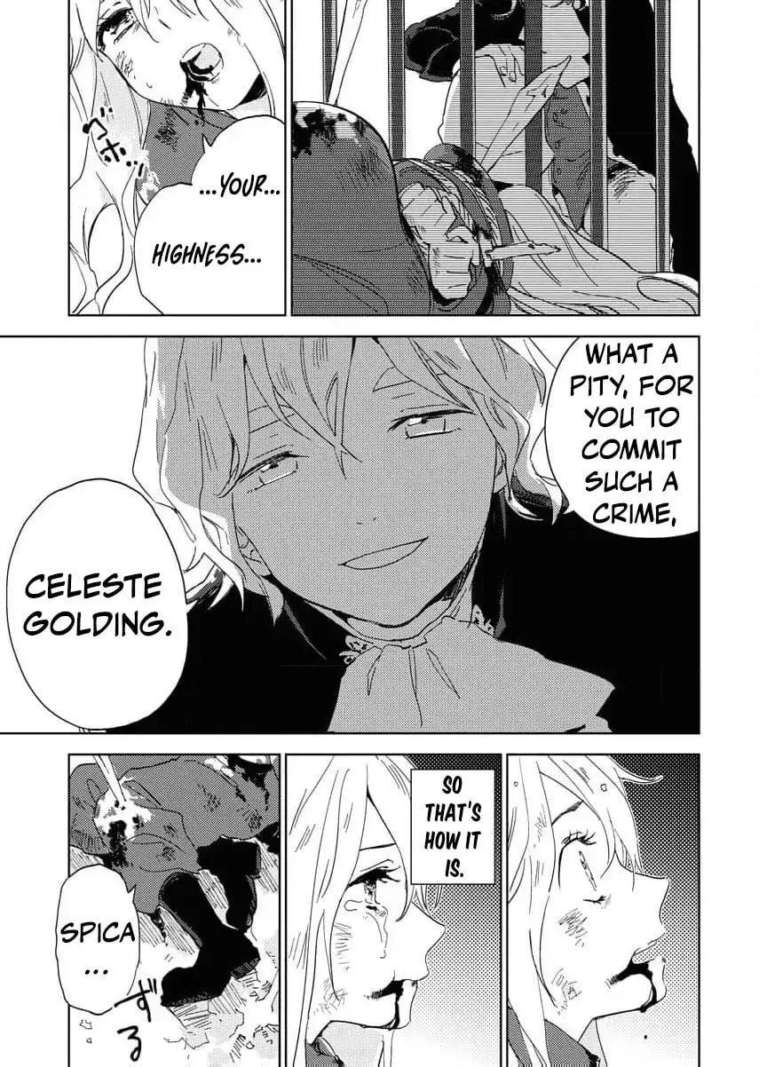 My Second Life with a General and His Fluffy Star Beasts Chapter 1 page 36 - 