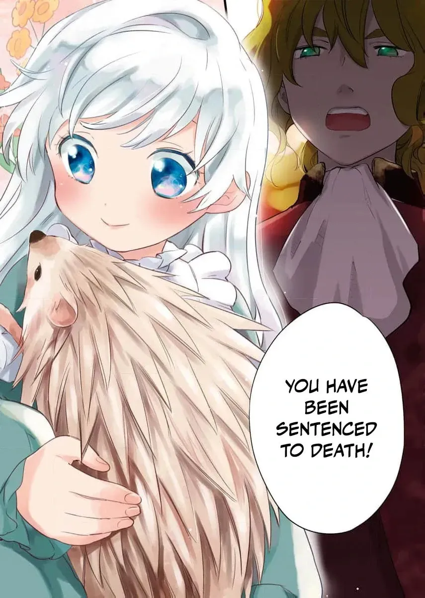 My Second Life with a General and His Fluffy Star Beasts Chapter 1 page 7 - 