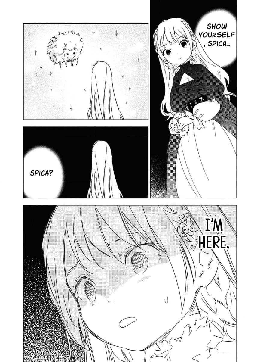 My Second Life with a General and His Fluffy Star Beasts Chapter 25 page 13 - 
