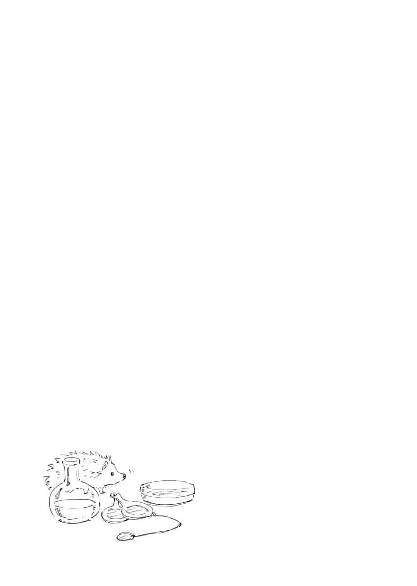 My Second Life with a General and His Fluffy Star Beasts Chapter 26 page 25 - 