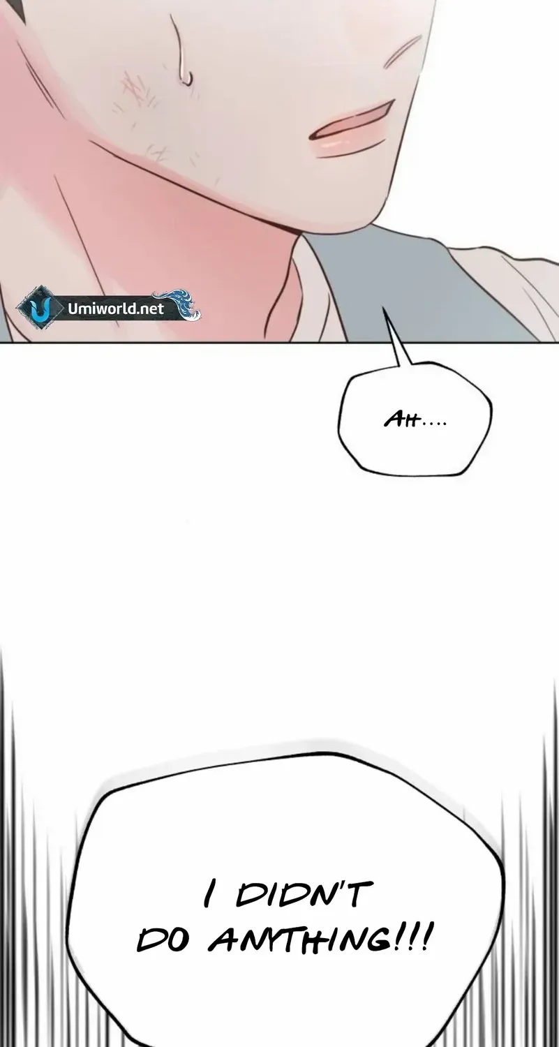 My Secret Crush Chapter 12 page 20 - 