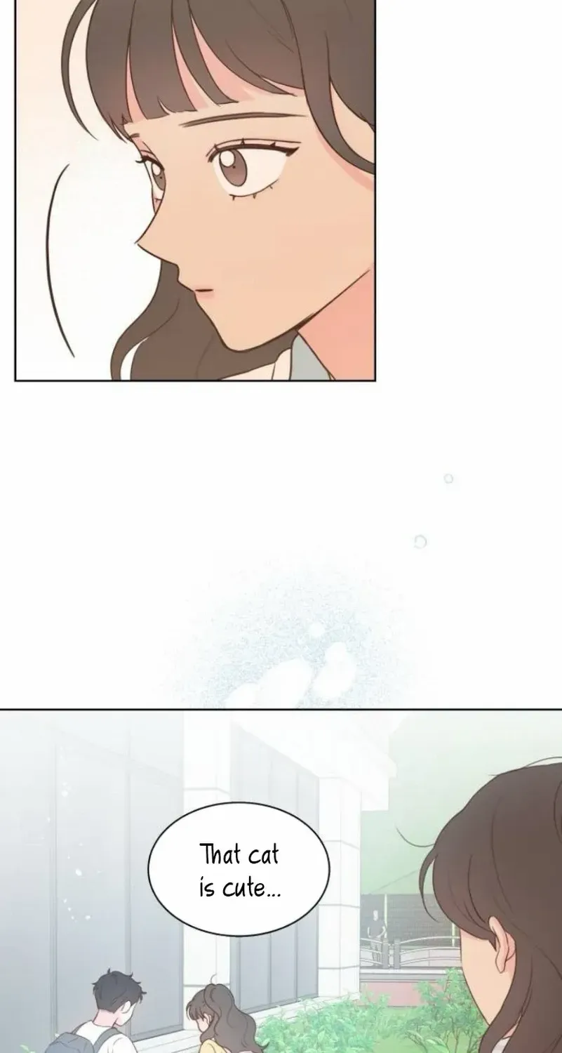 My Secret Crush Chapter 13 page 23 - 