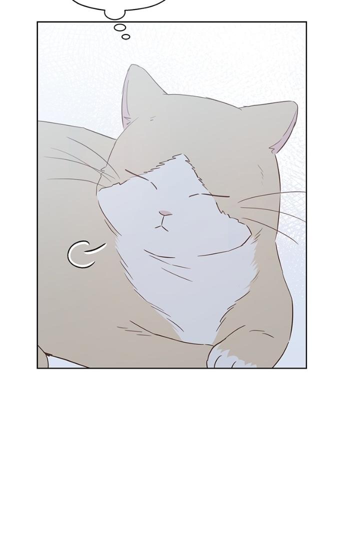 My Secret Crush Chapter 37 page 70 - 