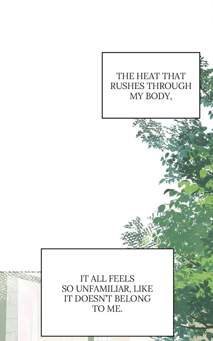 My Secret Crush Chapter 39 page 79 - 