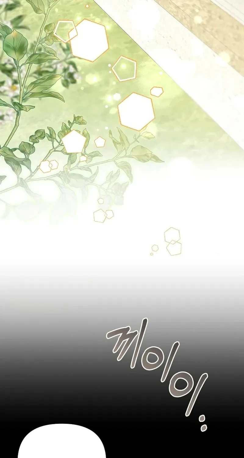 My Sister Is the Main Character Chapter 17 page 66 - 