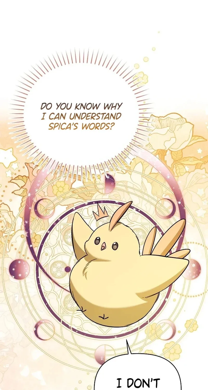 My Sister Is the Main Character Chapter 18 page 60 - 