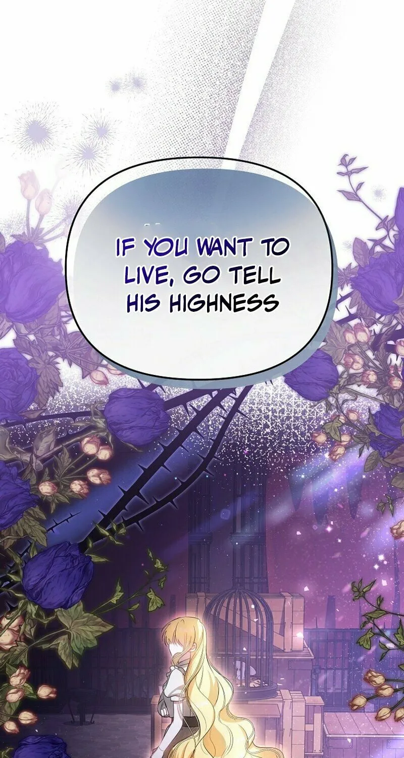 My Sister Is the Main Character Chapter 8 page 79 - 
