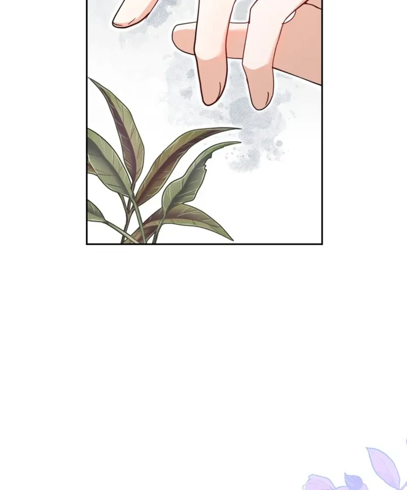 My sister, who was my enemy, loves me Chapter 13 page 66 - 