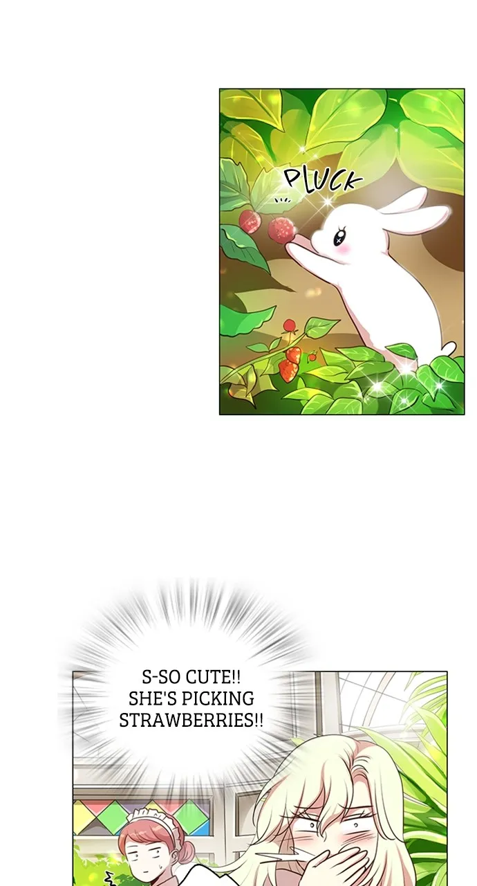 My Stepdaughter is a Bunny Chapter 11 page 13 - 