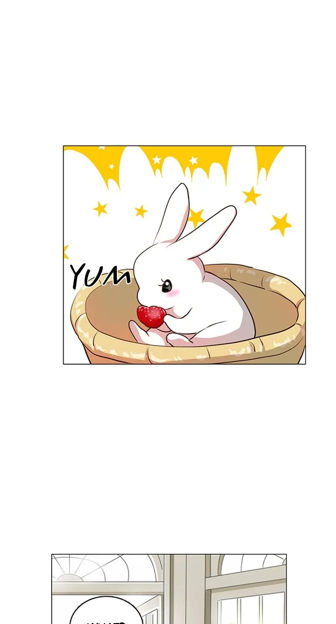 My Stepdaughter is a Bunny Chapter 11 page 48 - 