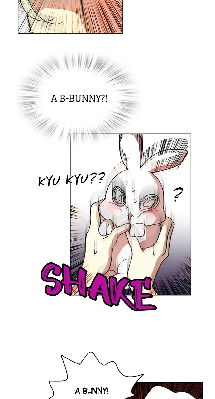 My Stepdaughter is a Bunny Chapter 2 page 2 - 