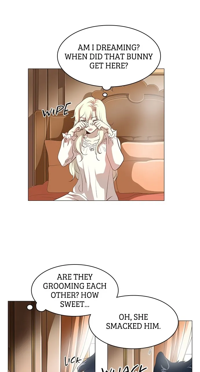 My Stepdaughter is a Bunny Chapter 46 page 3 - 