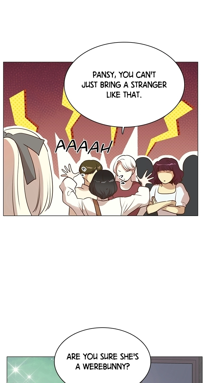 My Stepdaughter is a Bunny Chapter 89 page 45 - 