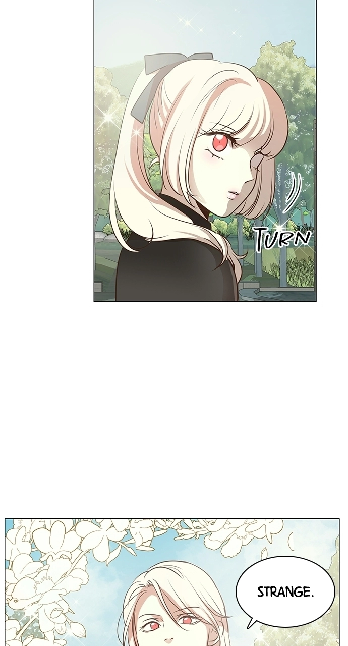 My Stepdaughter is a Bunny Chapter 89 page 56 - 