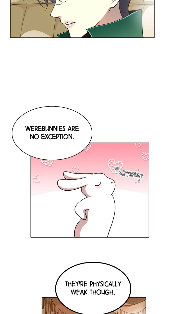 My Stepdaughter is a Bunny Chapter 9 page 21 - 