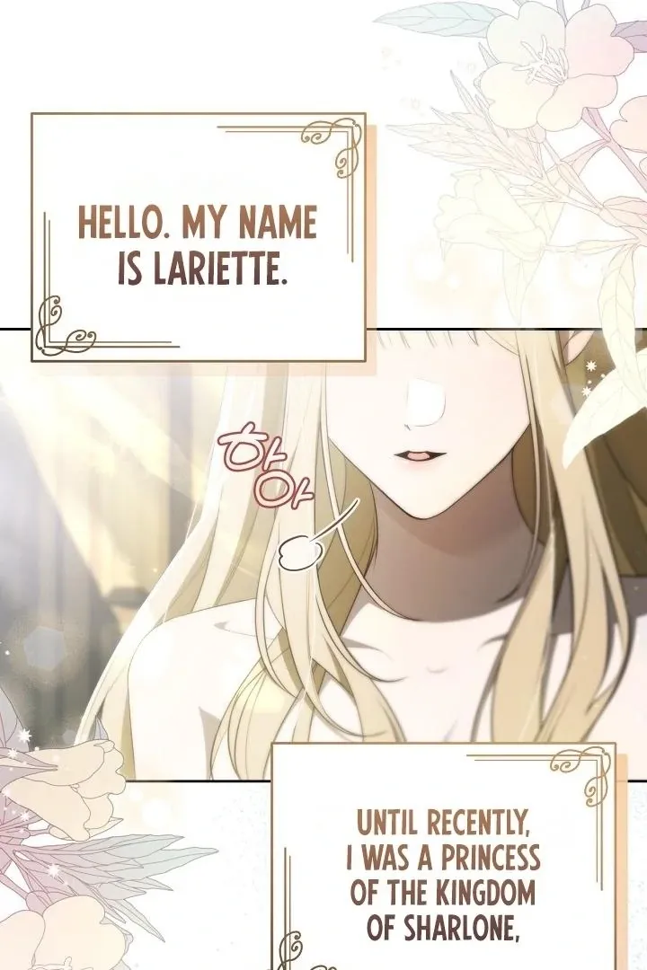 My Sweet and Loyal Grand Duke Chapter 0 page 3 - 