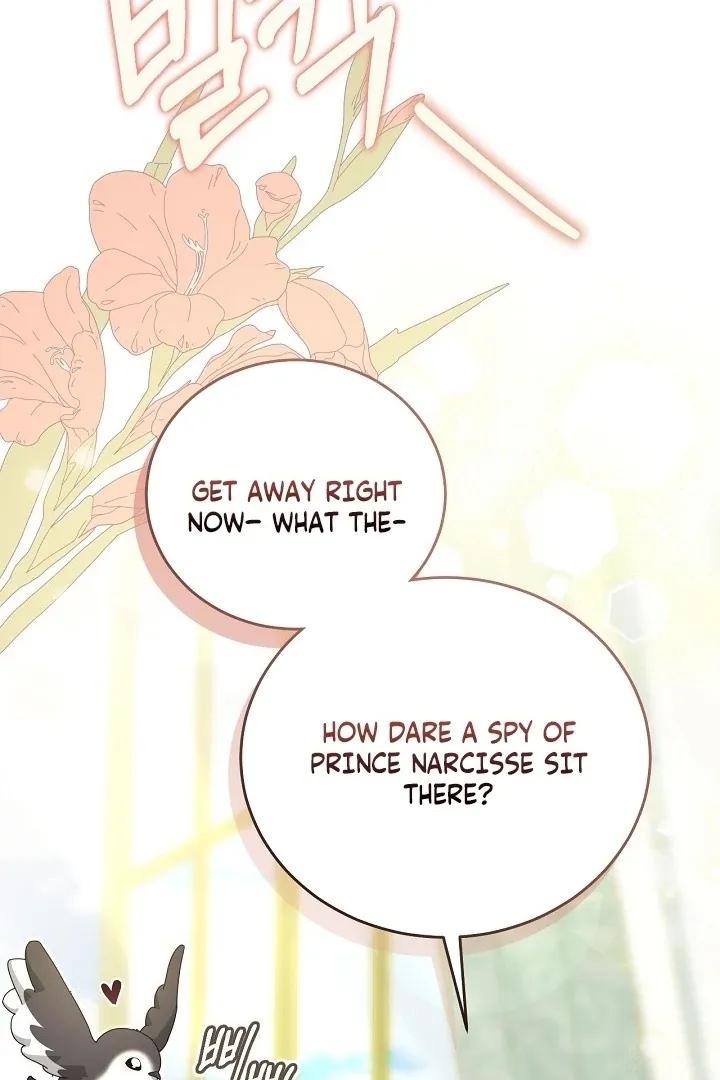 My Sweet and Loyal Grand Duke Chapter 4 page 79 - 