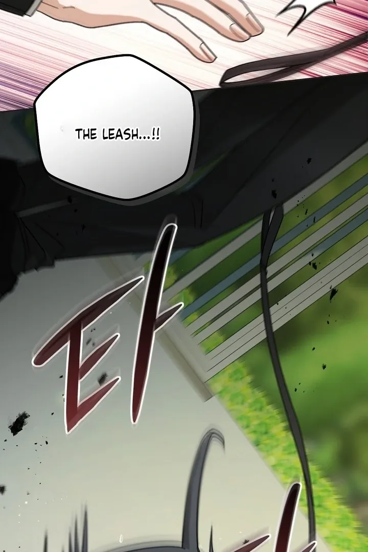 My Sweet and Loyal Grand Duke Chapter 5 page 19 - 