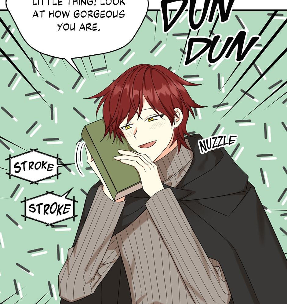 My Three Tyrant Brothers Chapter 28 page 13 - 