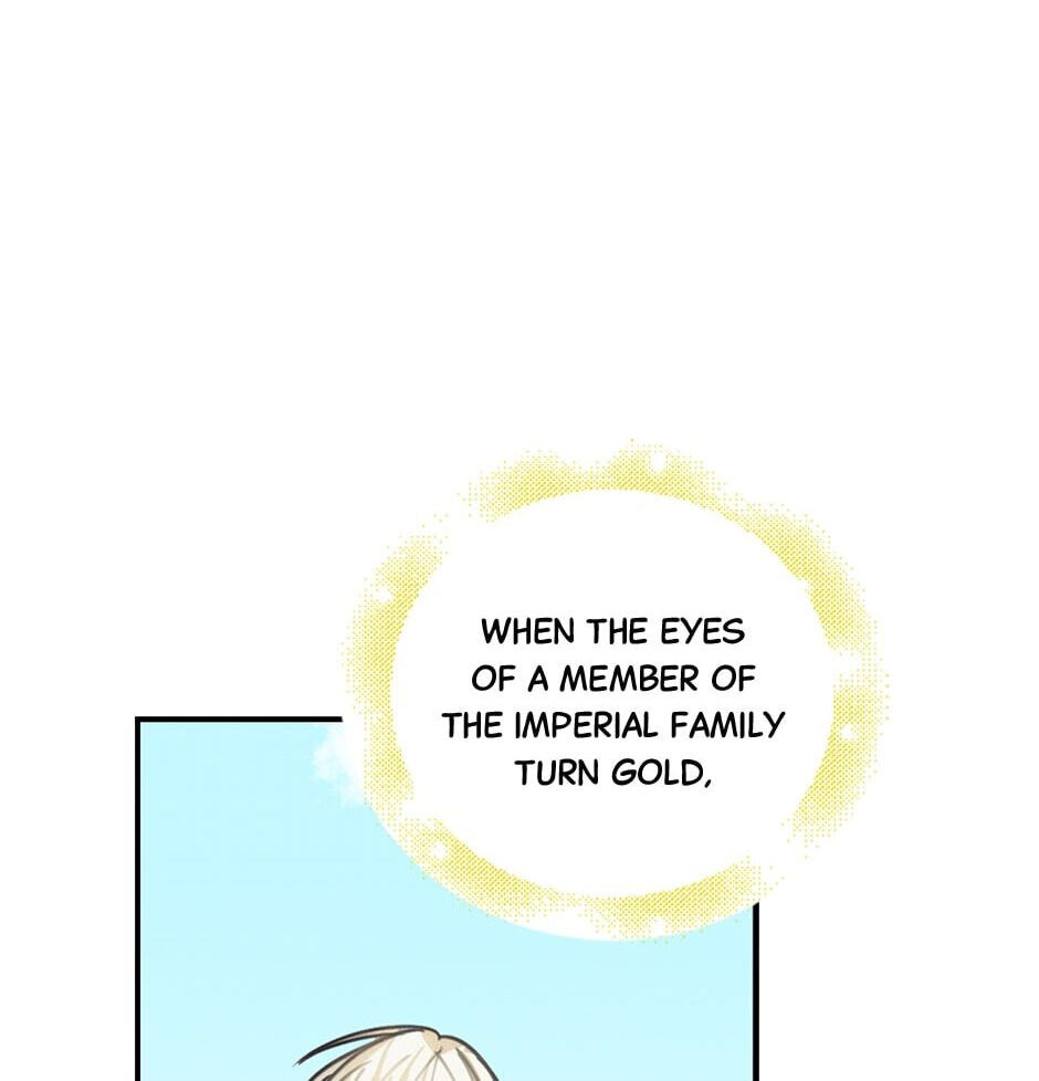 My Three Tyrant Brothers Chapter 9 page 45 - 