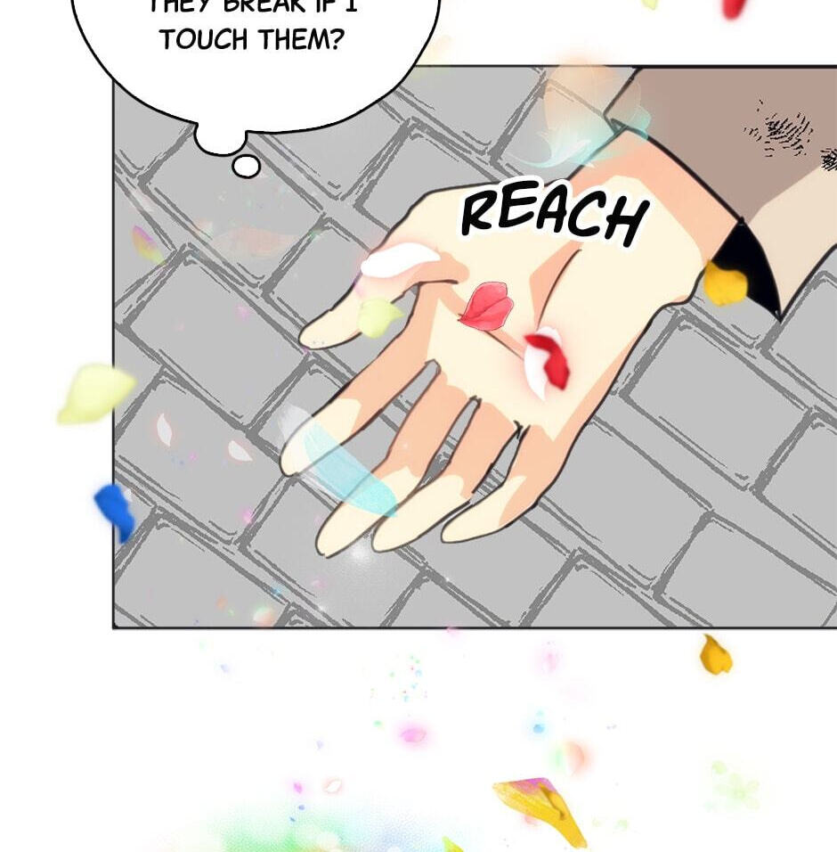 My Three Tyrant Brothers Chapter 9 page 65 - 
