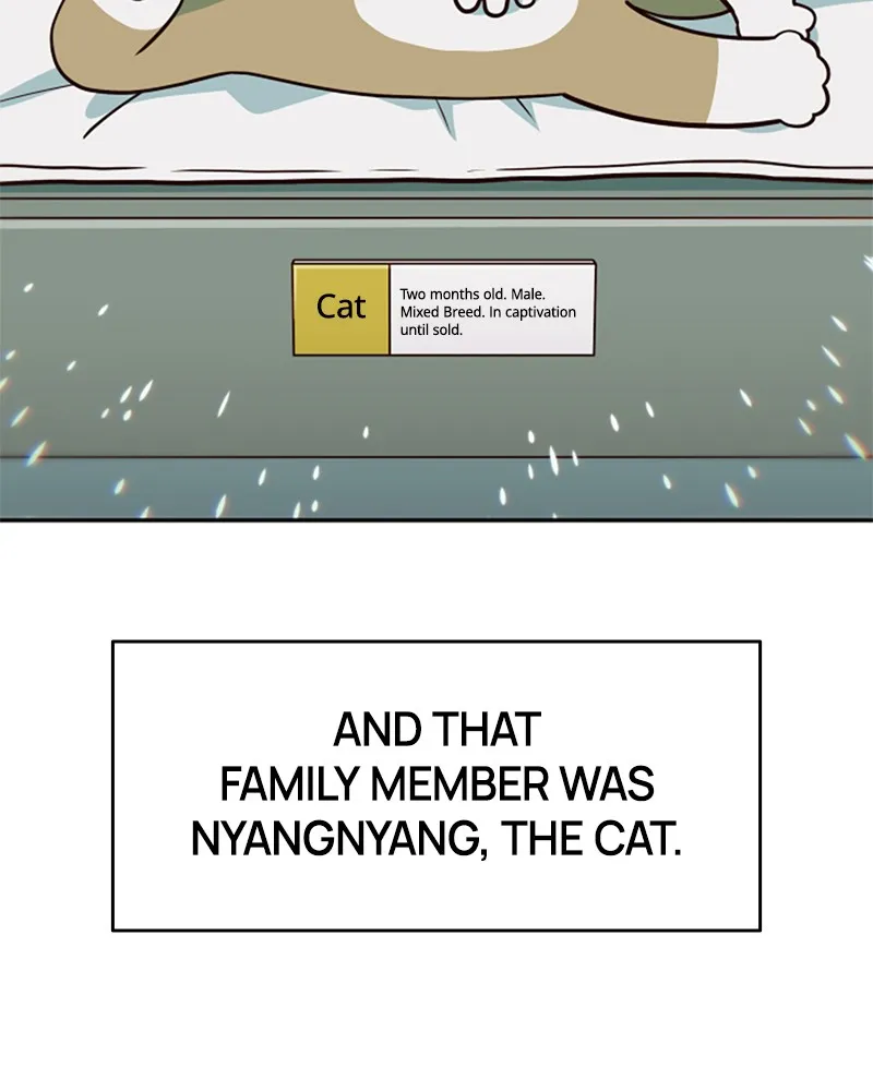 My Virtual God is a Teenage Girl Chapter 27 page 162 - 