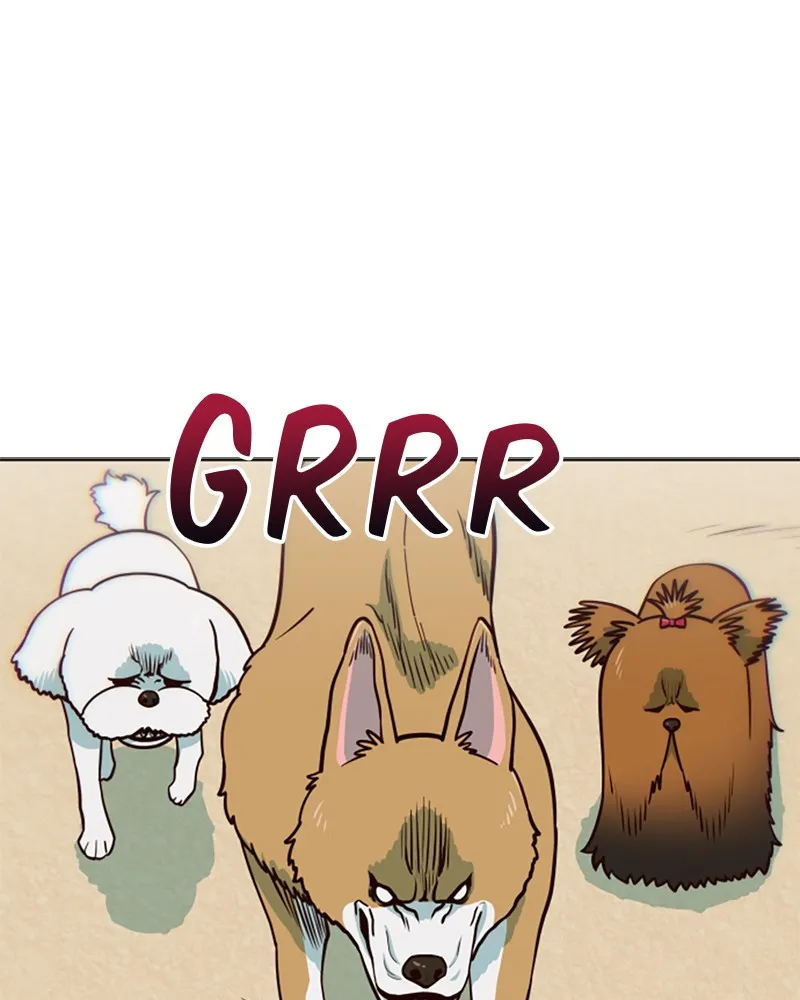 My Virtual God is a Teenage Girl Chapter 34 page 1 - 