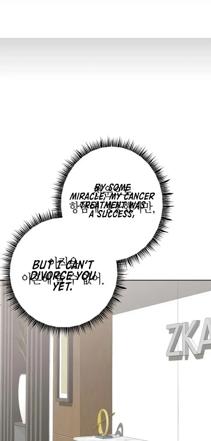 My wife appeared at her funeral Chapter 12 page 62 - 