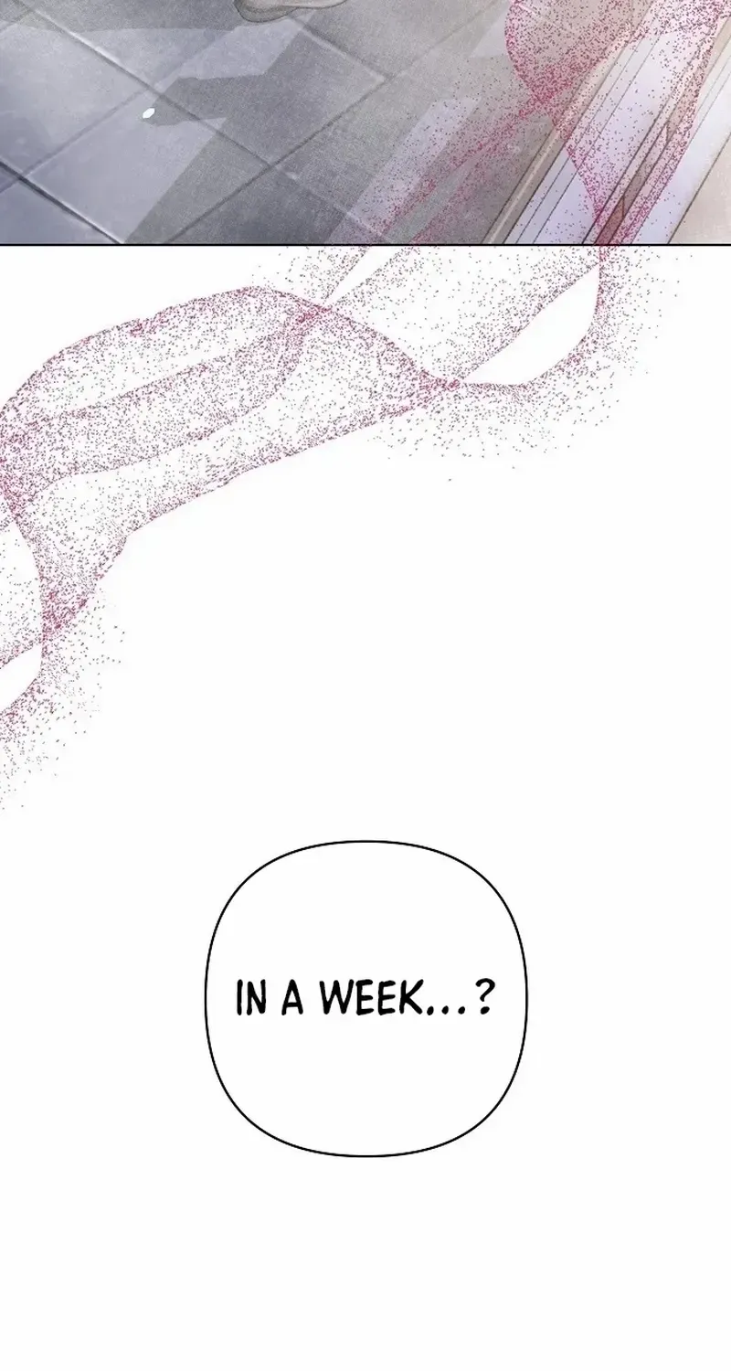 My wife appeared at her funeral Chapter 3 page 22 - 