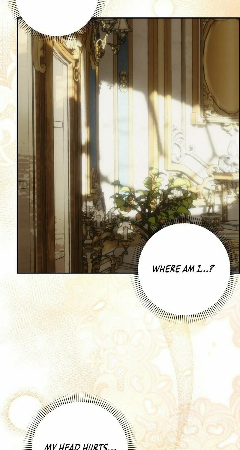 My Wish Is Two Separate Beds Chapter 11 page 39 - 