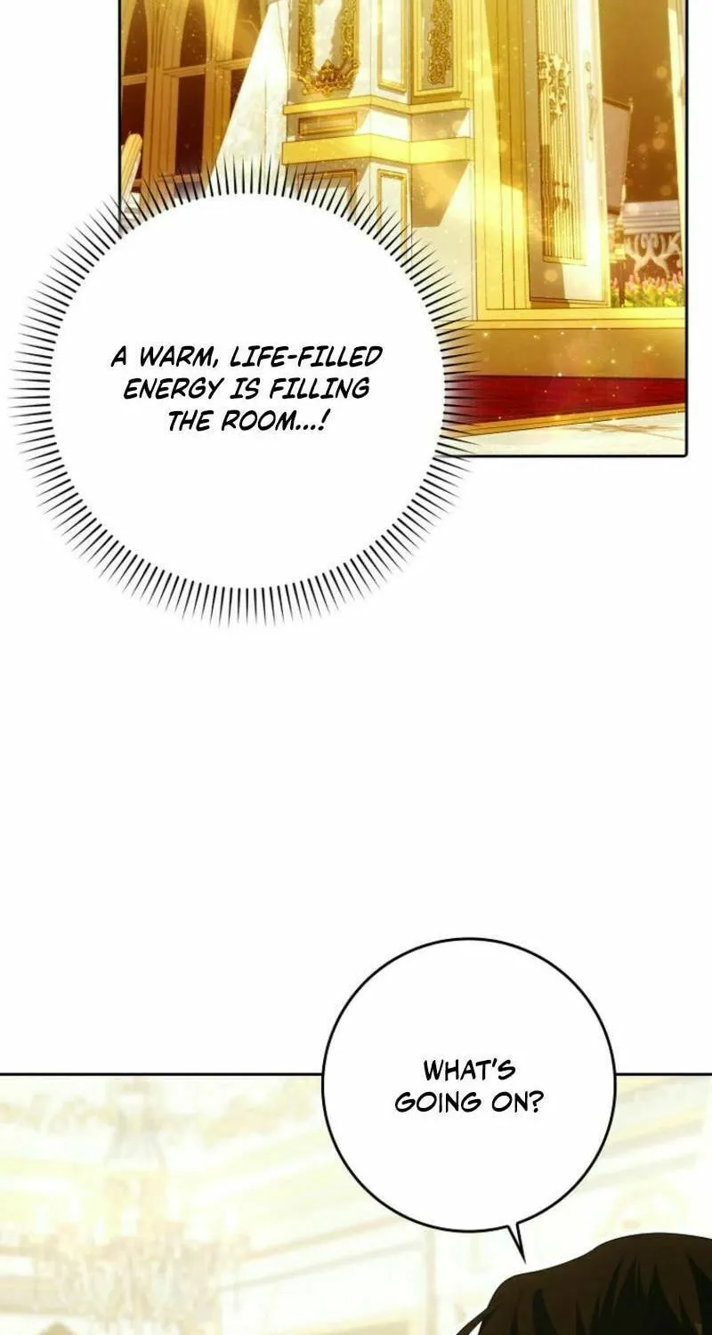 My Wish Is Two Separate Beds Chapter 24 page 71 - 