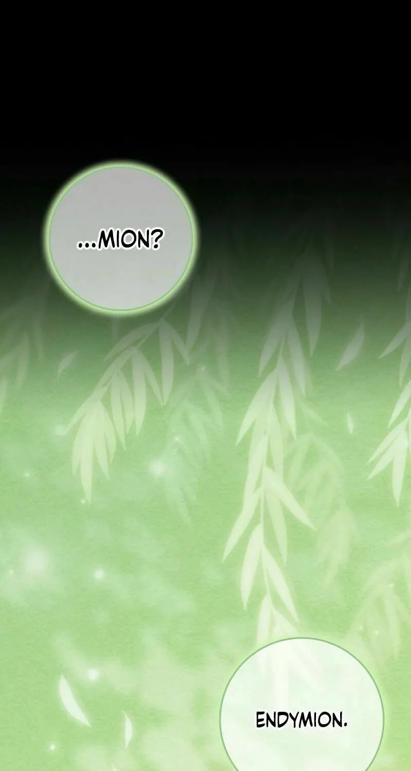 My Wish Is Two Separate Beds Chapter 33 page 70 - 