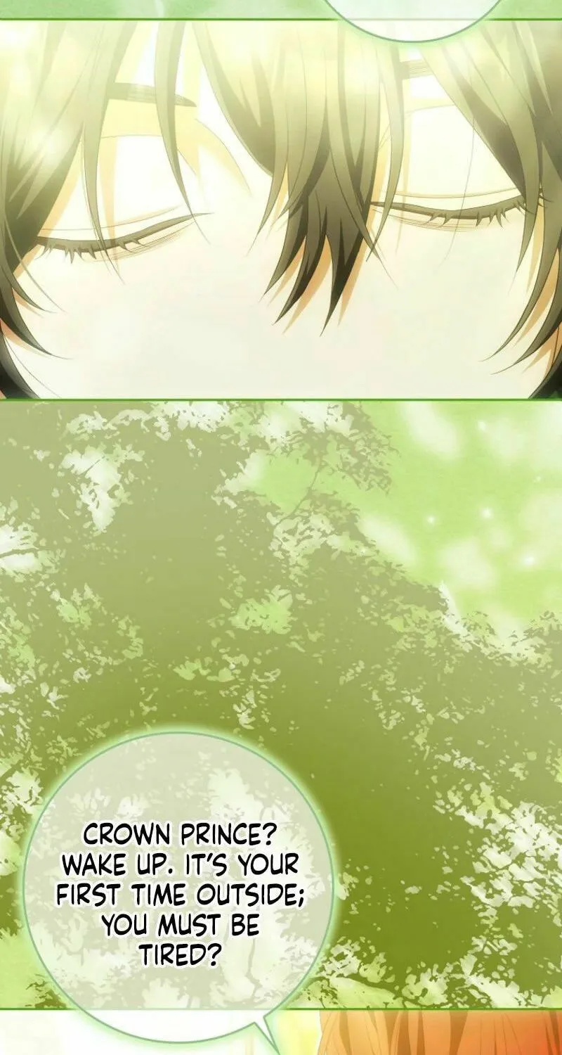 My Wish Is Two Separate Beds Chapter 33 page 71 - 