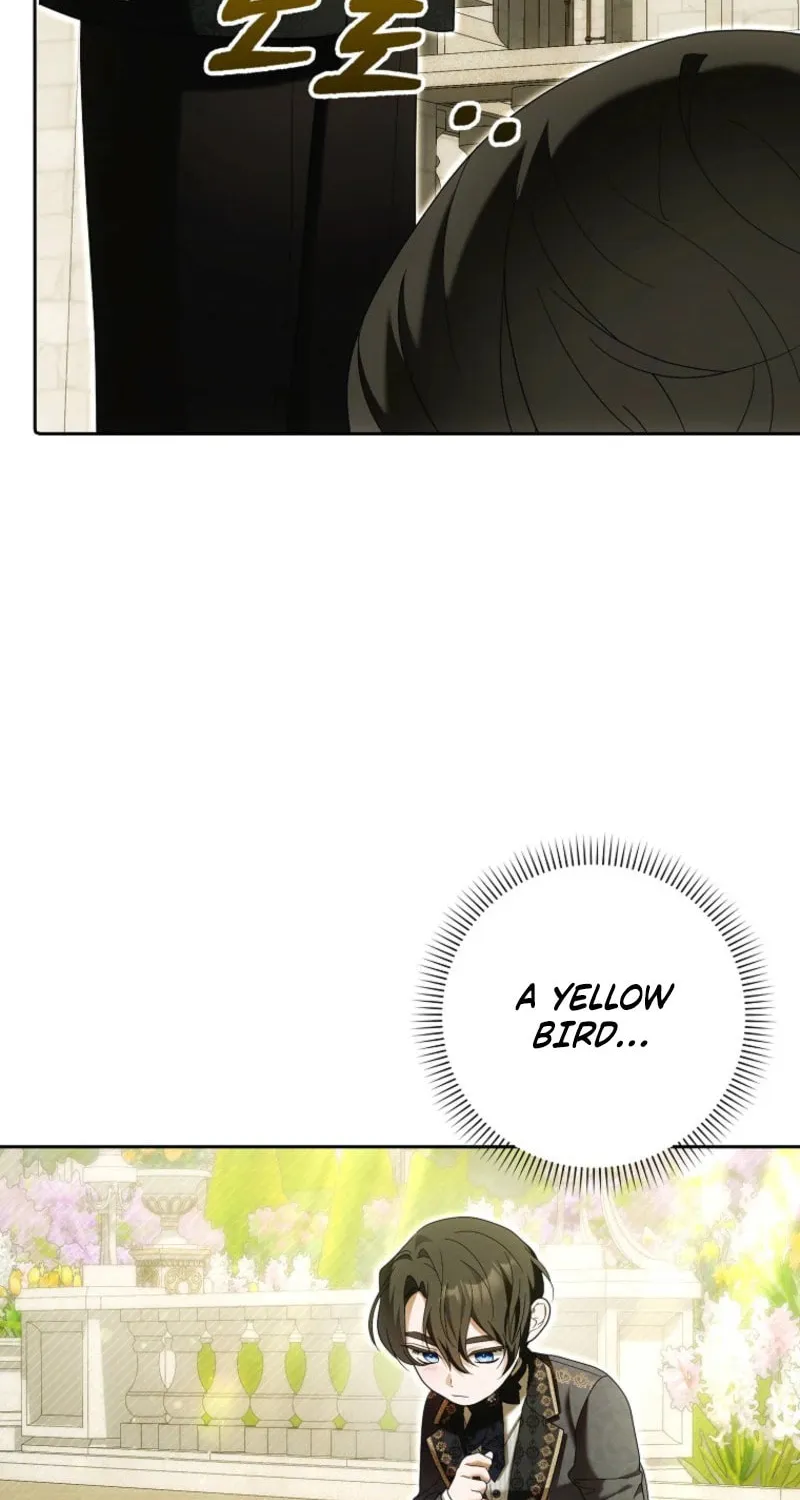 My Wish Is Two Separate Beds Chapter 34 page 41 - 