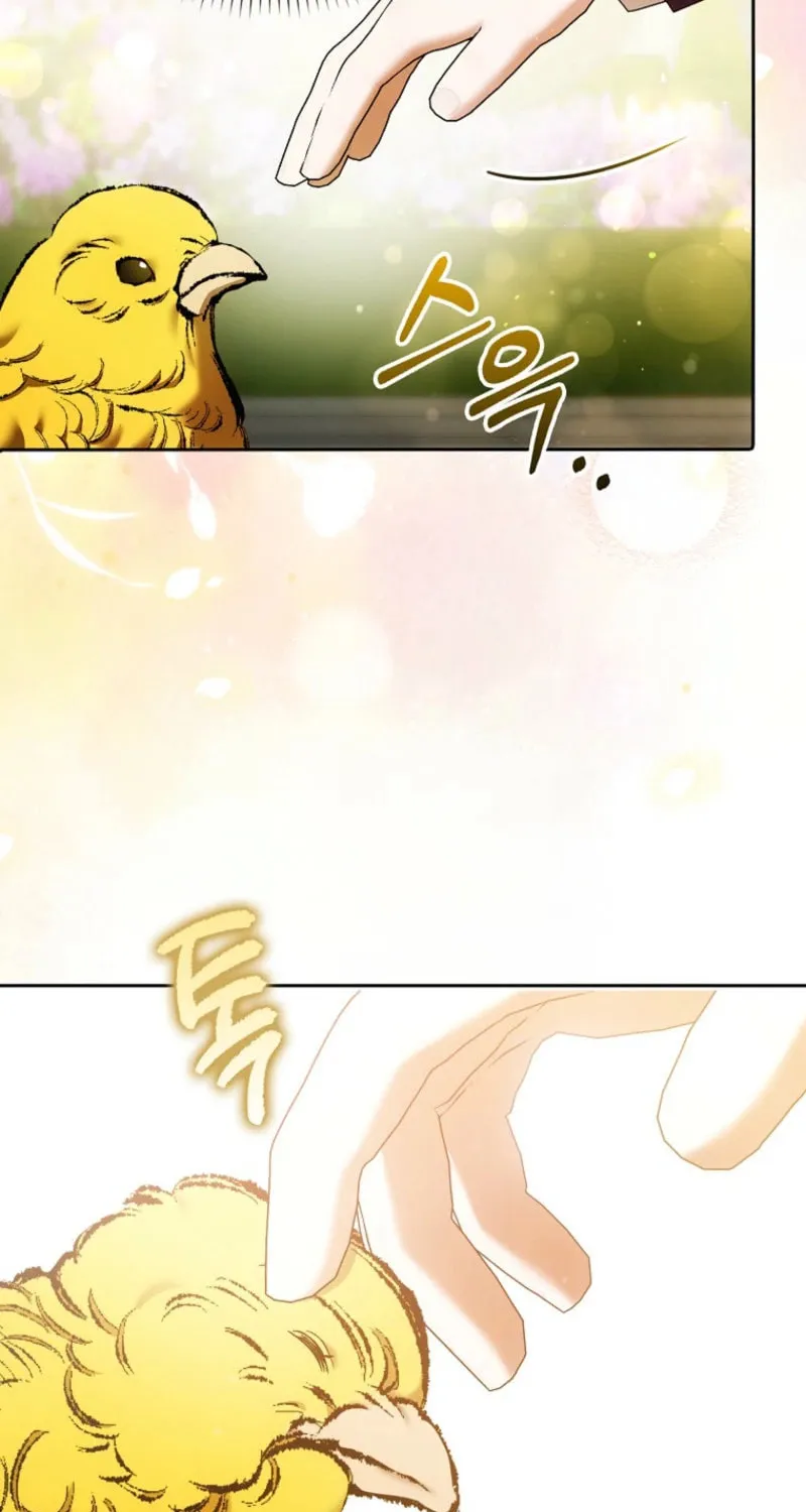 My Wish Is Two Separate Beds Chapter 34 page 44 - 