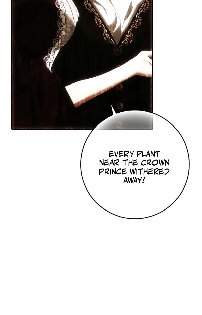 My Wish Is Two Separate Beds Chapter 34 page 68 - 
