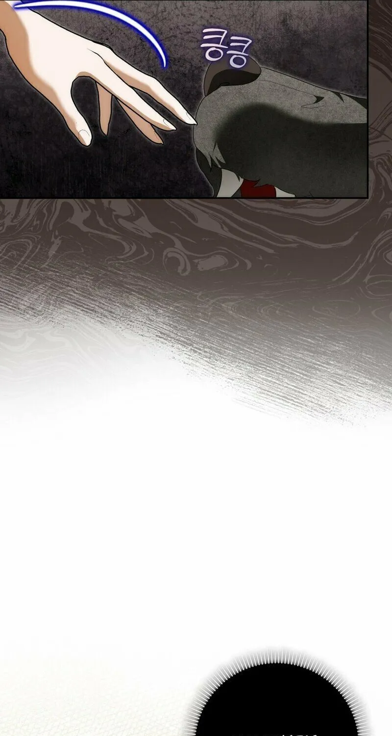 My Wish Is Two Separate Beds Chapter 9 page 24 - 