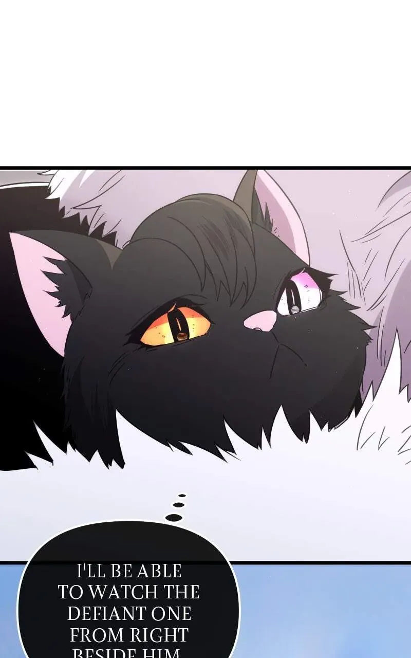 Mythic Item Obtained Chapter 1.1 page 104 - 
