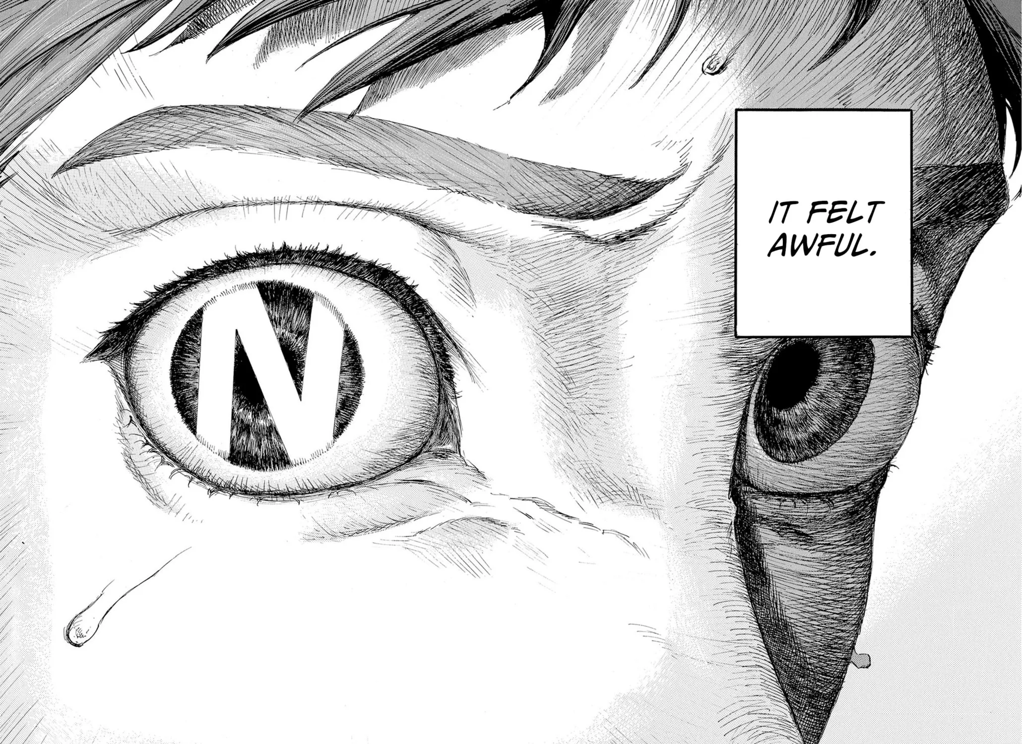 N Chapter 1 page 7 - 