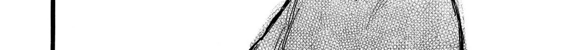 N Chapter 14.1 page 44 - 