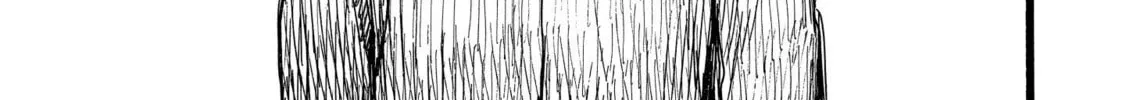 N Chapter 14.1 page 46 - 