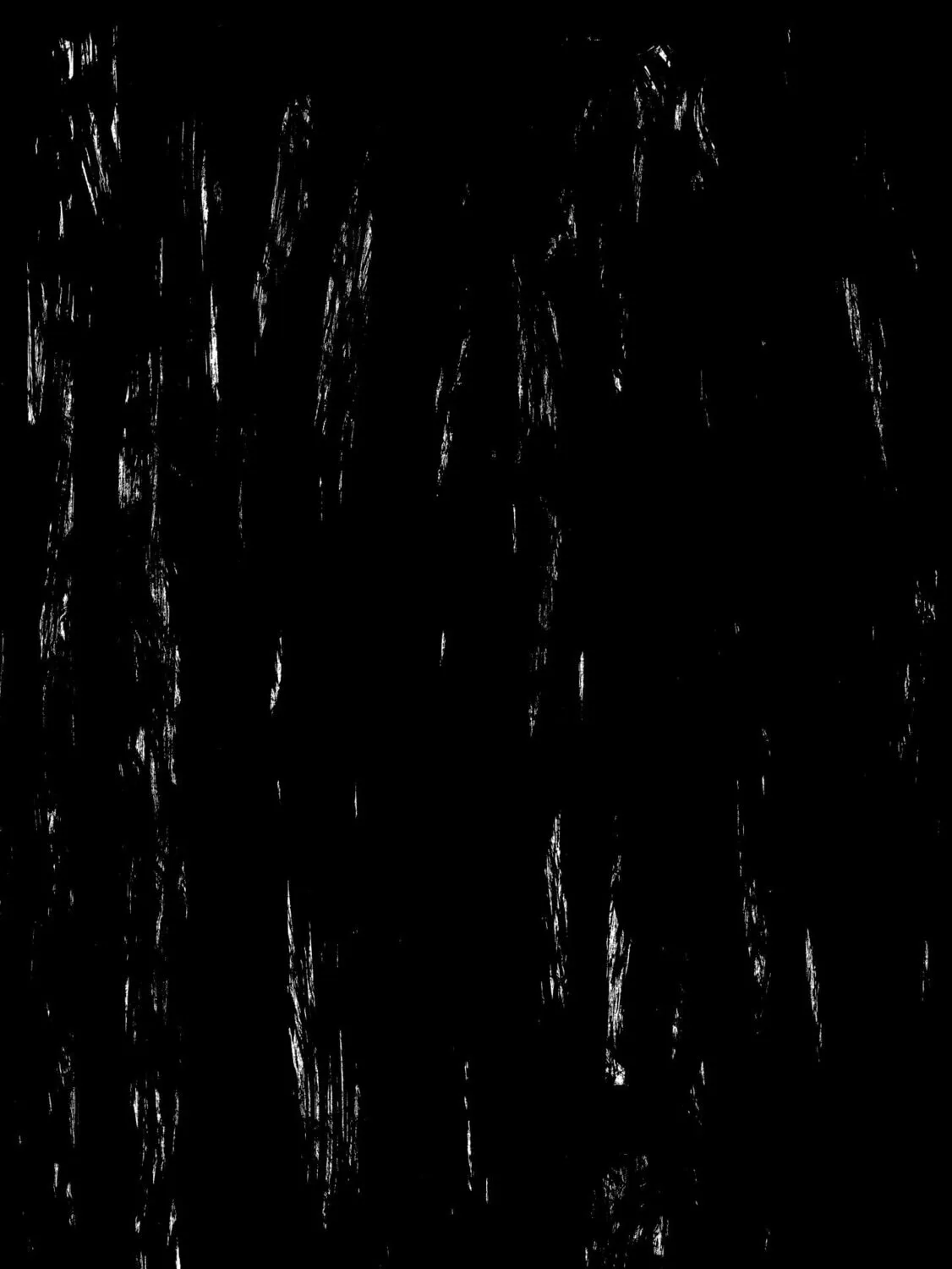 N Chapter 14.2 page 31 - 