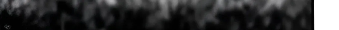 N Chapter 9 page 14 - 