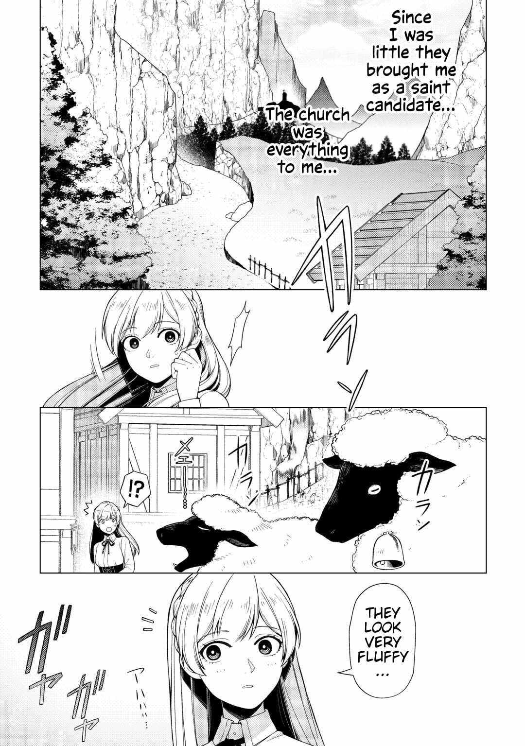 Naite Ayamararete mo Kyoukai ni wa Modori Masen! Tsuihou Sareta Moto Seijo Kouho desu ga, Onajiku Tsuihou Sareta “Kenshin”-sama to Ikitougou Shita no de Daini no Jinsei wo Hajimetemasu Chapter 1 page 14 - 