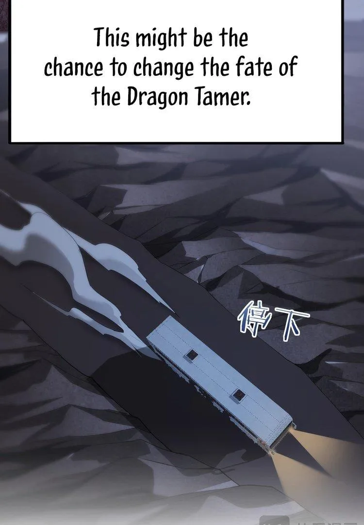 National Job Change: I’m Stuck As the Weakest Dragon Tamer?! Chapter 2 page 87 - 