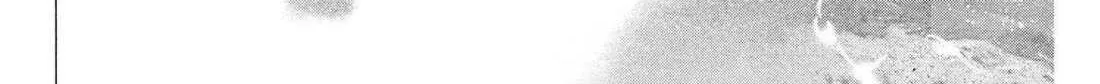 Natsume Arata No Kekkon Chapter 60 page 31 - 