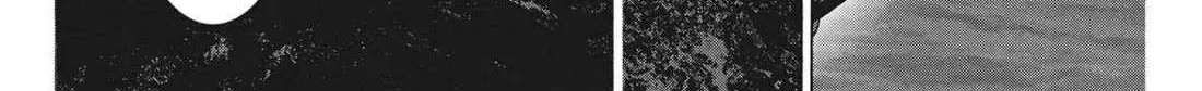 Natsume Arata No Kekkon Chapter 60 page 47 - 