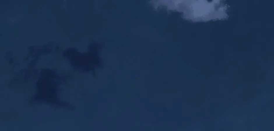 Navi