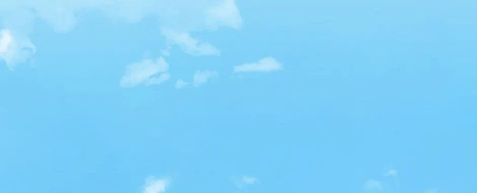Navi