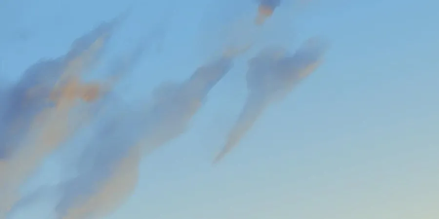 Navi